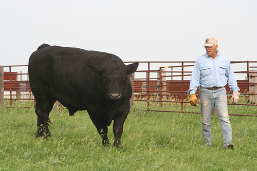 Christensen Ranch Family | South Dakota Farmers Union